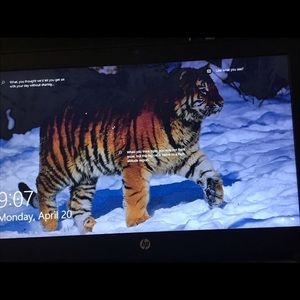 Meet your Posher, Heather